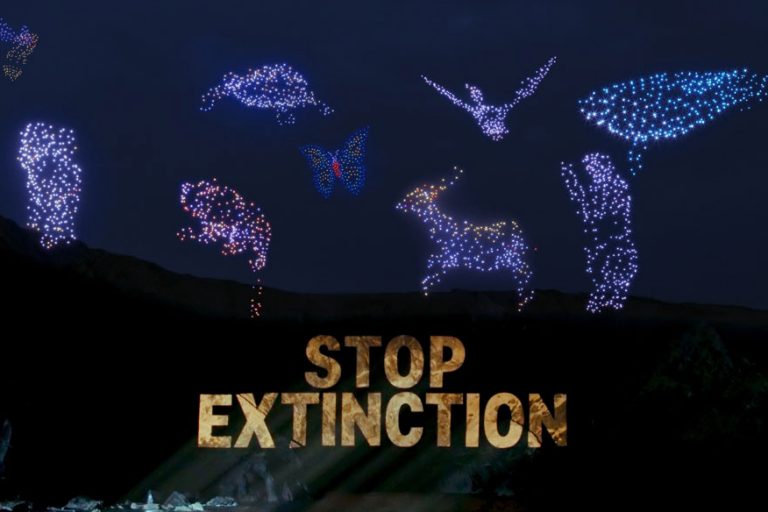 300-drones-greenpeace 300 drones: Greenpeace film