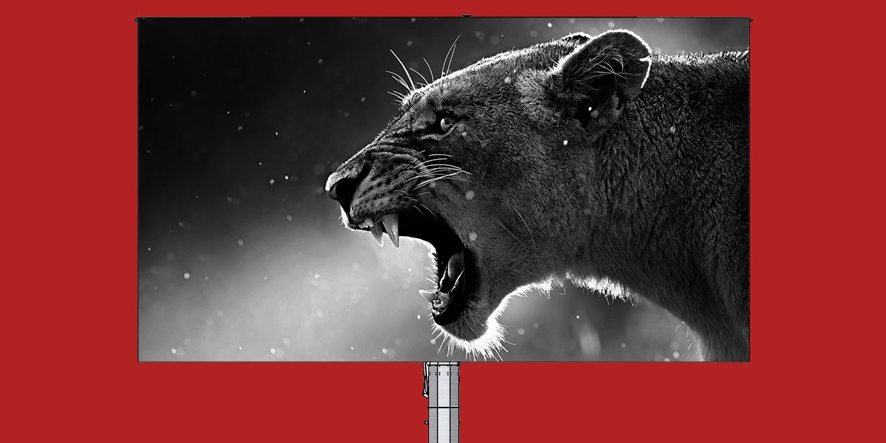 HD-Ledshine-groesster-Bildschirm