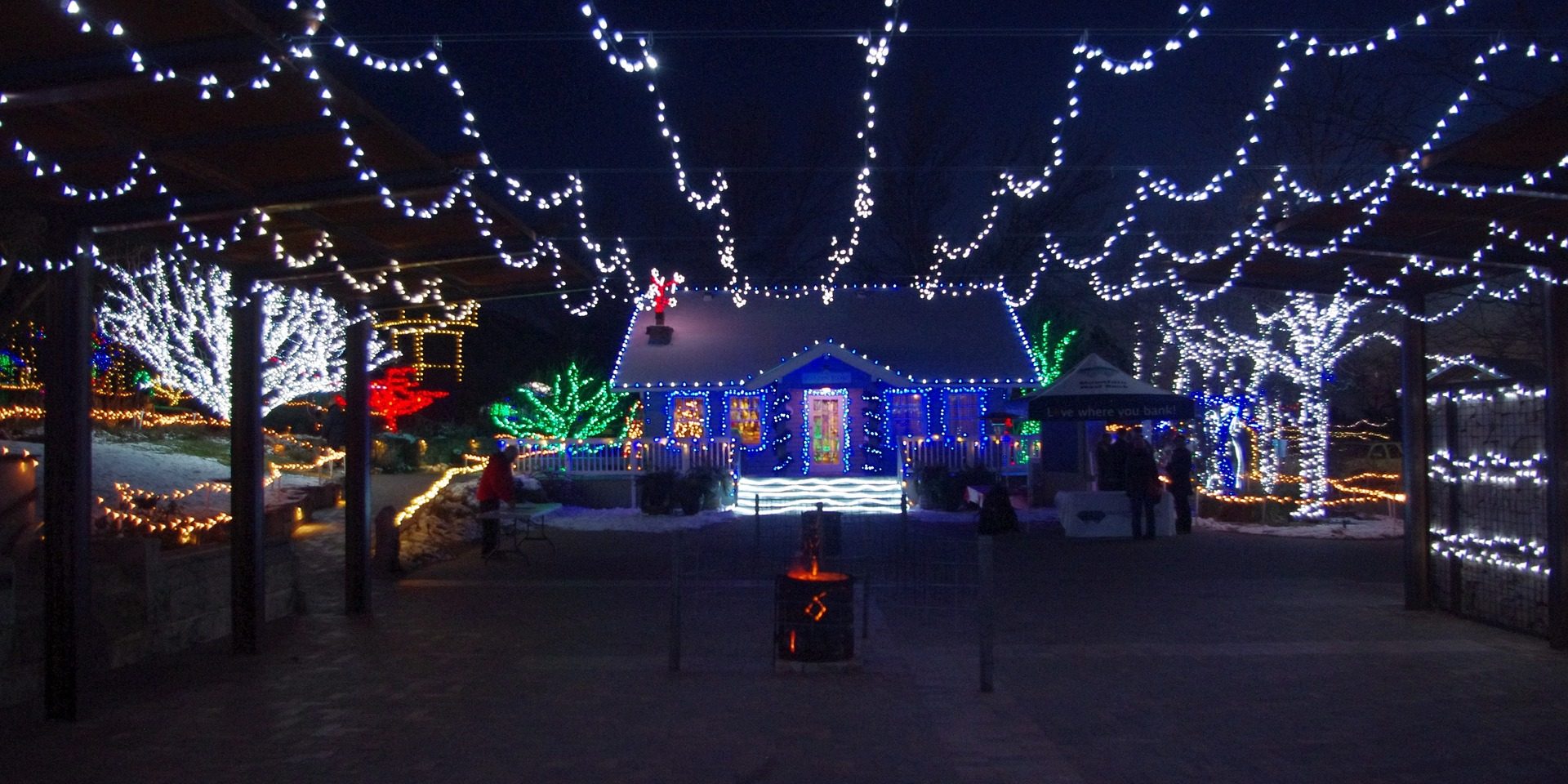 christmas-light-show