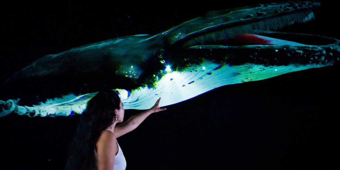 extended-reality-word Extended Reality World Zoo d'Amnéville