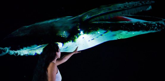 Extended Reality World Zoo d'Amnéville