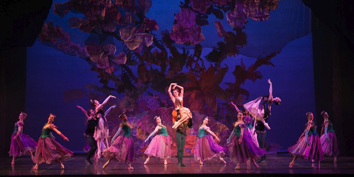 hg lighting design alice in wonderland