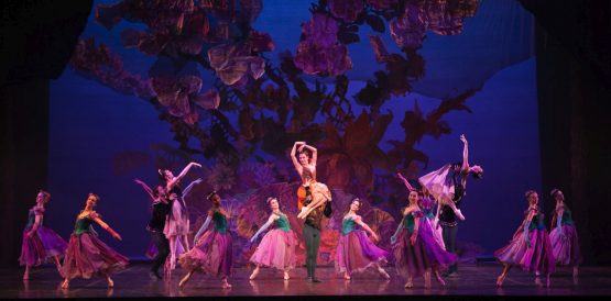 hg lighting design alice in wonderland